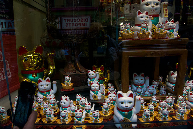 38949203584_1b6f9224e9_z